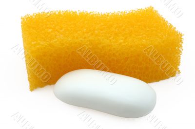 Sponge and soap. Sponge and soap.