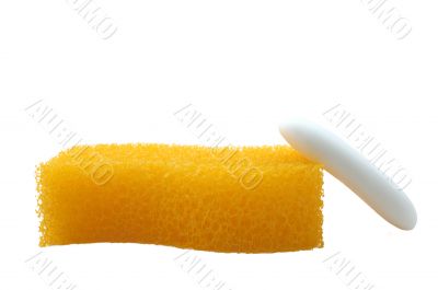 Sponge and soap. Sponge and soap.