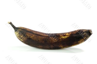 Dead Banana