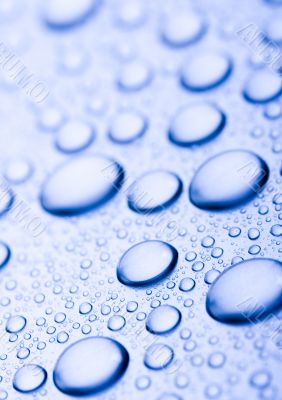 Fresh & Wet Fresh & Wet