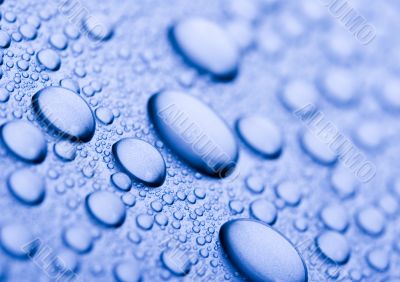 Fresh & Wet Fresh & Wet