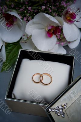 Two wedding rings in a box