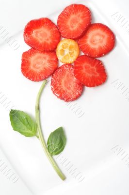 Fruit still-life