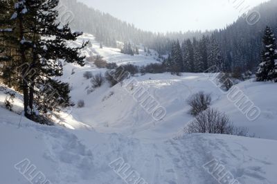 Tien Shan Tien Shan