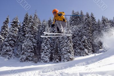 Snow Skier