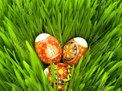 Easter eggs in the grass