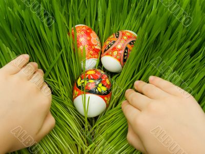 Easter eggs in the grass and hands