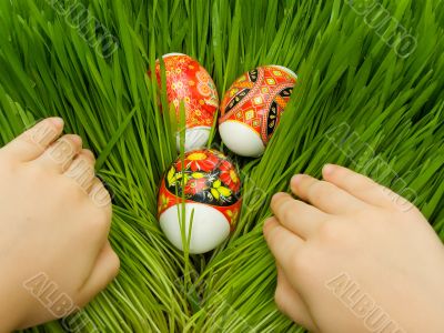 Easter eggs in the grass and hands Easter eggs in the grass and hands