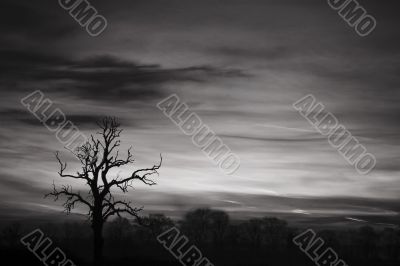 Black And White Sky