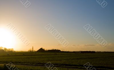 A Dutch Farm