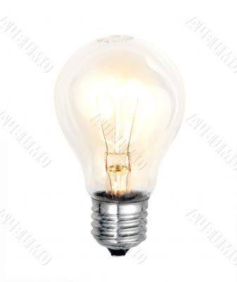 bulb on white background