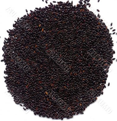 black rice