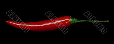 red chili pepper