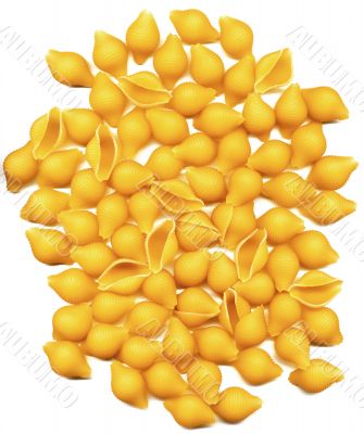 orecchiette italian pasta