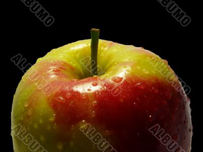 Apple Apple
