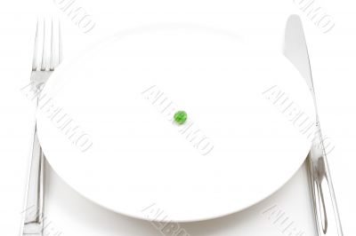 single pea on a plate single pea on a plate