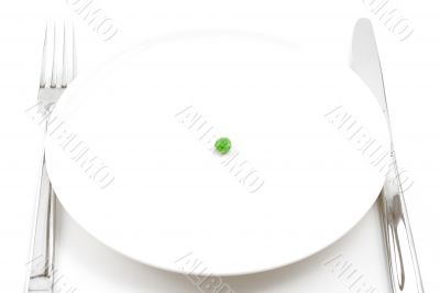 single pea on a plate