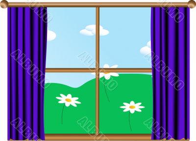 View from the window