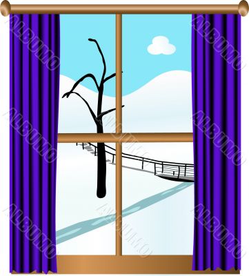 View from the window