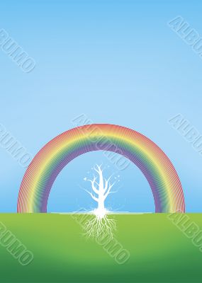 Beautiful tree with roots with a rainbow