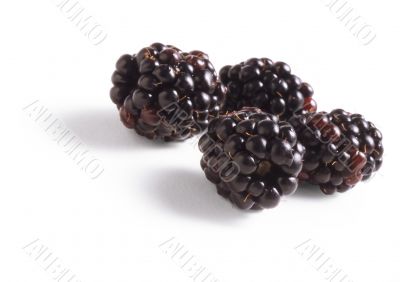 Black raspberries