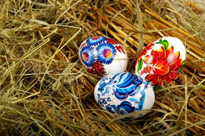 The painted eggs