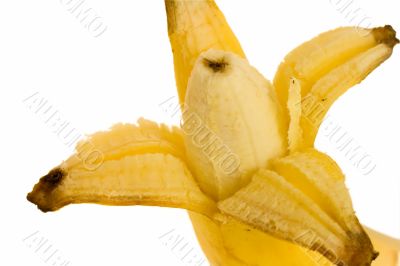 opened banana