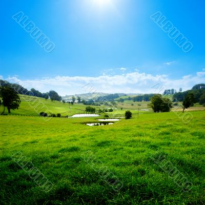 Scenic Meadow Scenic Meadow