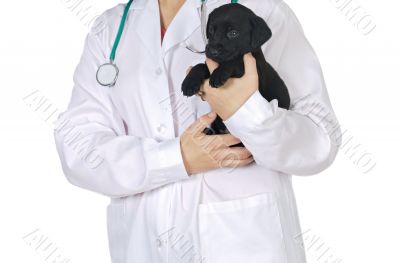 Anonimus lady veterinarian