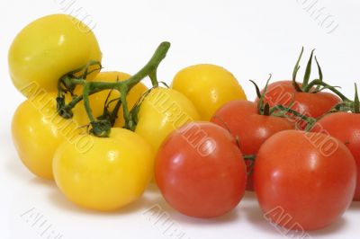 Red and yellow tomatoes