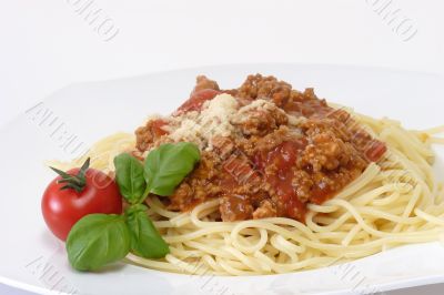Bolognese 7