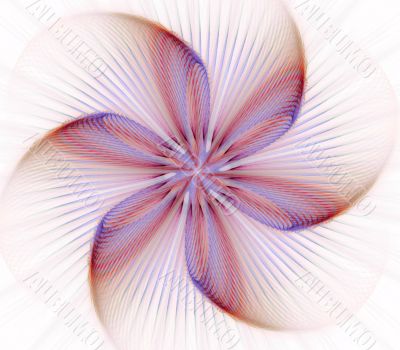Star Flower Abstract