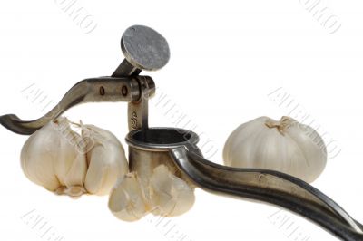 garlic press and 2 garlic