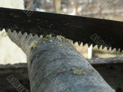 handsaw handsaw