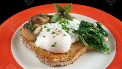 Poached Egg Breakfast Poached Egg Breakfast