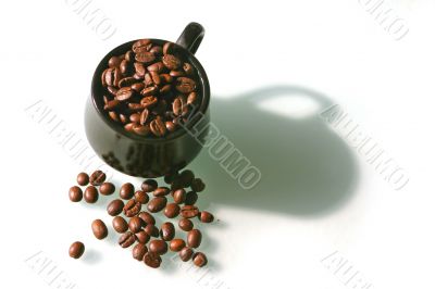 Coffee beans in a cup