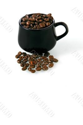 Coffee beans in a cup