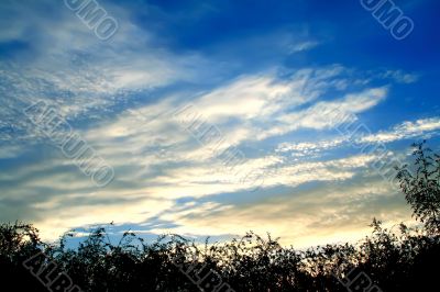 Clouds above city