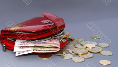 Open purse Open purse