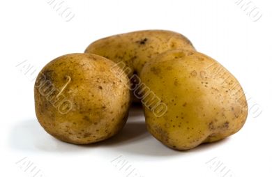 Three raw potatoes on white background Three raw potatoes on white background