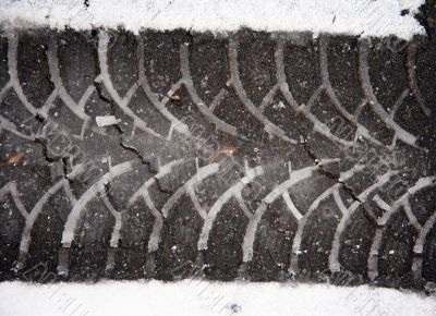 Print of a protector