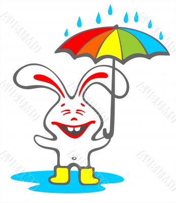 happy rabbit with umbrella