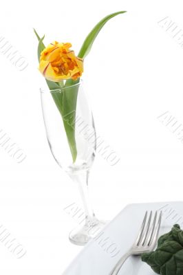 Vegetables and tulip