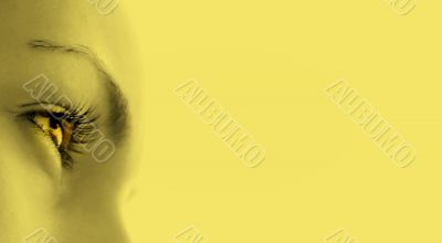 Women`s eye - looking forward.Isolated on white.