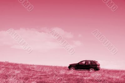 Beautiful car. Great details !