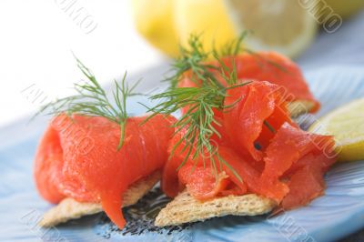 salmon appetizers
