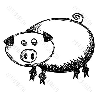 Pig illustration