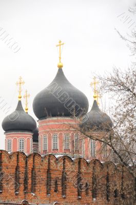 Donskcoi monastery