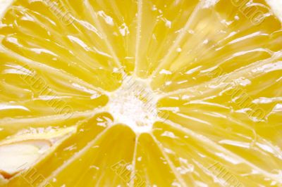 Macro close-up of fresh cut lemon Macro close-up of fresh cut lemon
