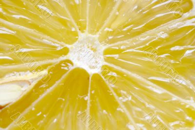 Macro close-up of fresh cut lemon